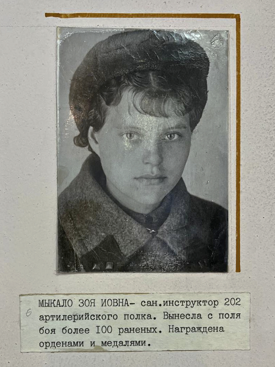 Мыкало Зоя Иовна - сан.инструктор 202 артилерийского полка. Вынесла с поля боя более 100 раненых. Награждена орденами и медалями.