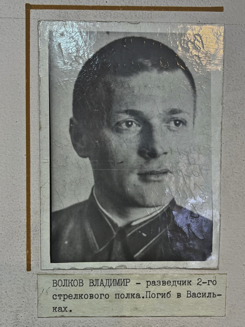 Волков Владимир, разведчик 2-го стрелкового полка. Погиб в Васильках.